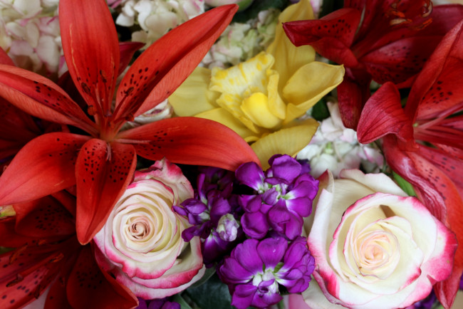 Обои картинки фото цветы, разные, вместе, лилии, розы, левкой