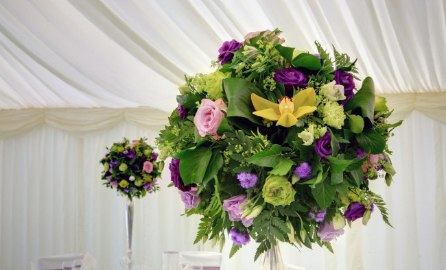 Обои картинки фото цветы, букеты,  композиции, орхидея, агератум, эустома, розы