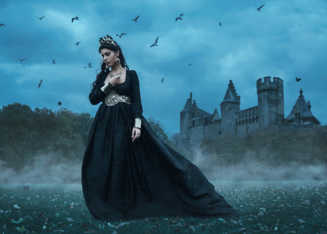 Обои картинки фото девушки, -unsort , креатив, птицы, tara, valentine, замок, платье, королева