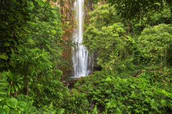 Картинка природа водопады поток лес