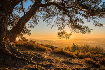 Картинка природа восходы закаты рассвет