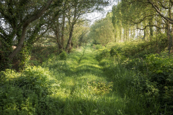 Картинка природа дороги тракт