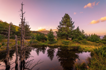 Картинка природа реки озера лес река