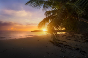 Картинка природа тропики рассвет