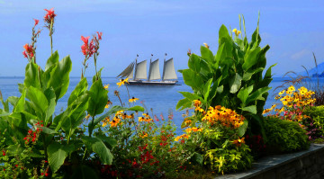 Картинка корабли парусники мачты паруса