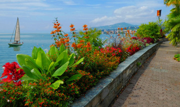 Картинка корабли Яхты мачты паруса