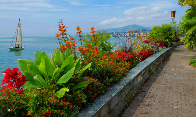 Обои картинки фото корабли, Яхты, мачты, паруса