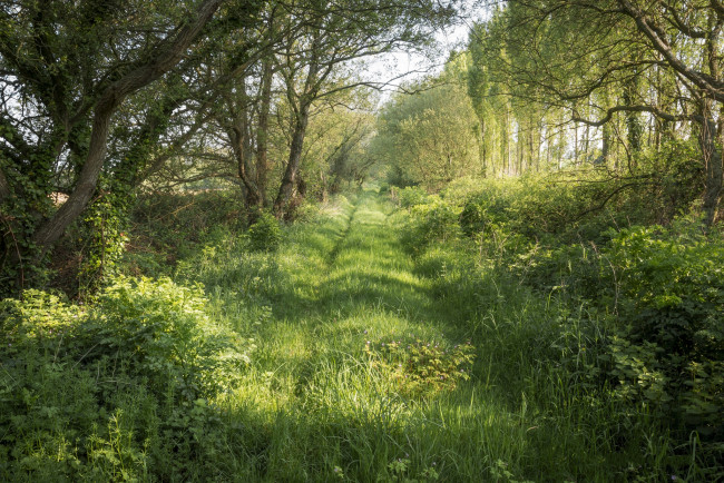 Обои картинки фото природа, дороги, тракт