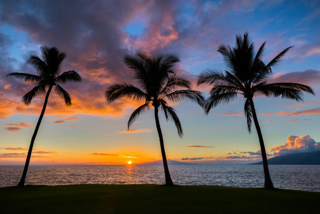 Обои картинки фото природа, тропики, море, пальмы, пляж, песок