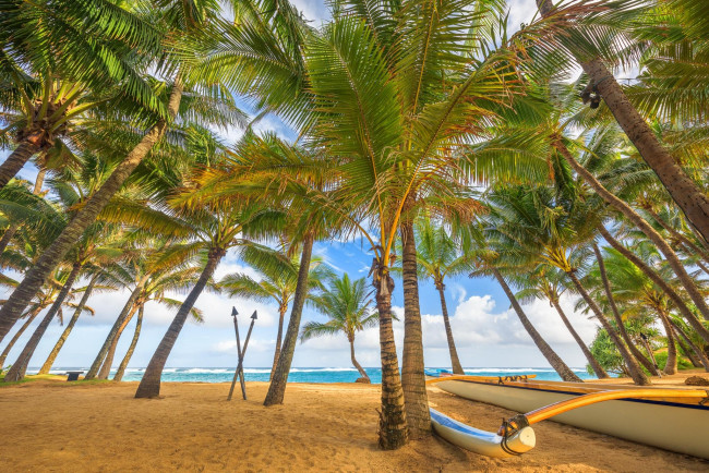 Обои картинки фото природа, тропики, песок, пляж, море, пальмы