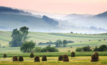 Картинка западные+карпаты +польша природа луга холмы трава туман стога