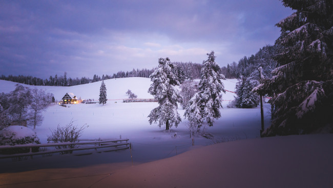 Обои картинки фото природа, зима, деревья, снег