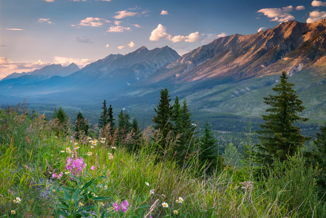 Обои картинки фото природа, луга, простор