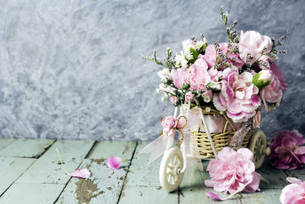 Картинка цветы гвоздики розовый