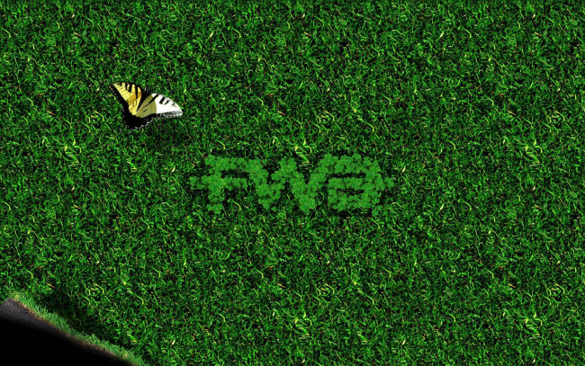 Обои картинки фото разное, компьютерный дизайн, буквы, лужайка, бабочка