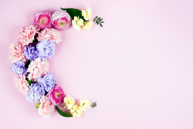 Обои картинки фото цветы, букеты,  композиции, гвоздика, ранункулюс