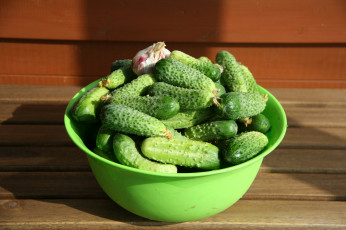 Картинка еда огурцы чеснок свежие миска урожай