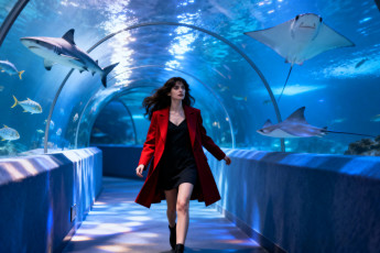 Картинка 3д+графика люди+ people девушка шатенка платье пальто рыбы океанариум