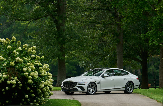 Обои картинки фото автомобили, genesis