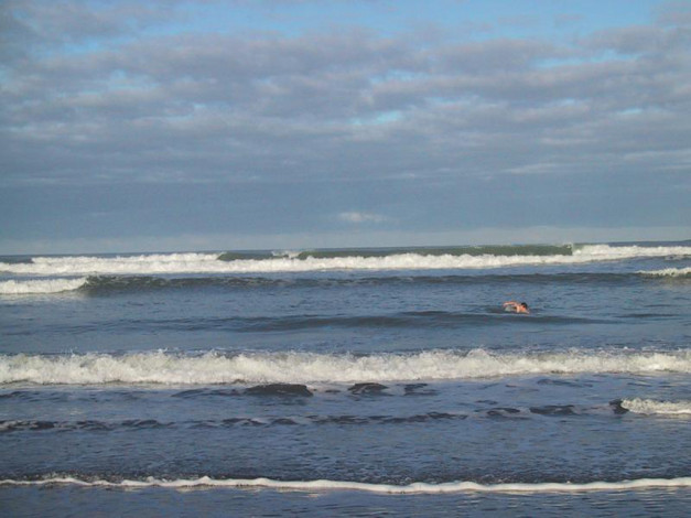 Обои картинки фото 