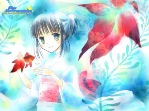 обоя аниме, miss, surfersparadise