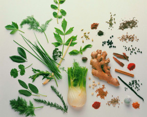 Картинка еда крупы зерно специи семечки