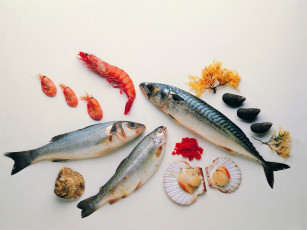 Картинка еда рыба морепродукты суши роллы