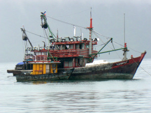 Картинка корабли другое