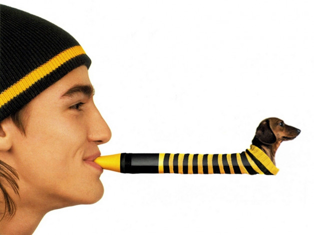 Обои картинки фото бренды, beeline