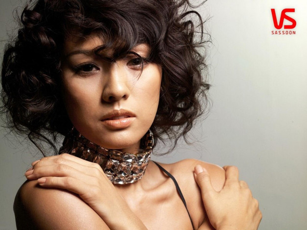 Обои картинки фото бренды, vs