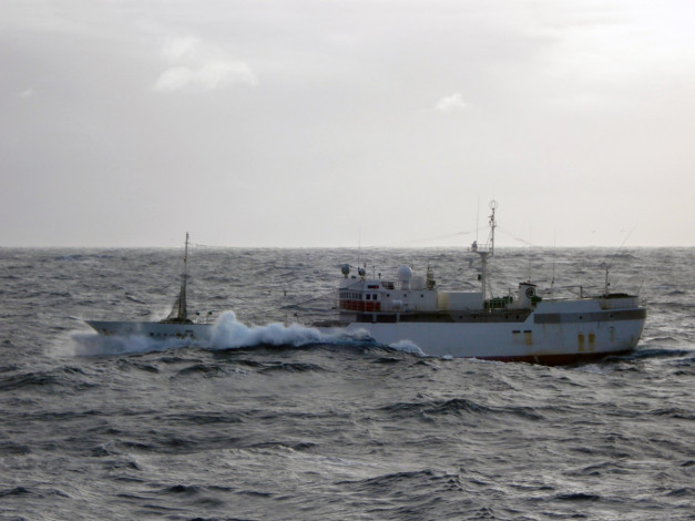 Обои картинки фото корабли, другое