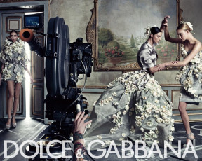обоя бренды, dolce, gabbana