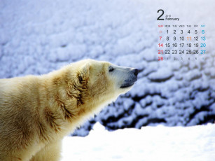 Картинка календари животные