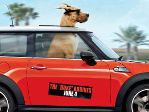 Картинка marmaduke кино фильмы