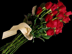 Картинка цветы розы