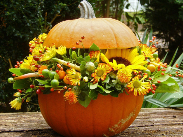 Обои картинки фото цветы, букеты, композиции