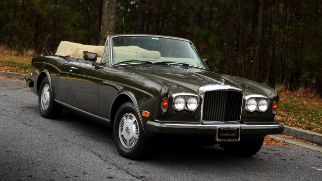 Обои картинки фото bentley, continental, автомобили, motors, премиум-класс, великобритания