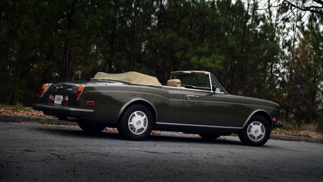 Обои картинки фото bentley, continental, автомобили, великобритания, motors, премиум-класс