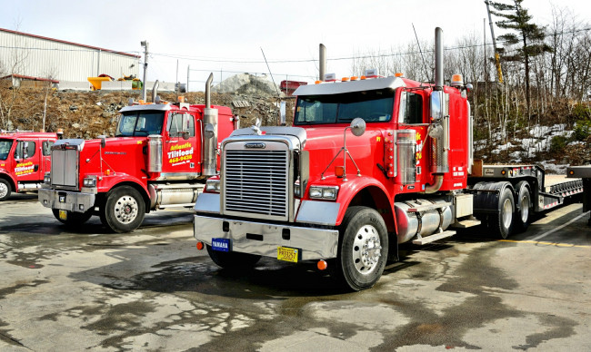 Обои картинки фото freightliner, автомобили, daimler, сша, тяжелые, тягачи, llc, america, north, trucks