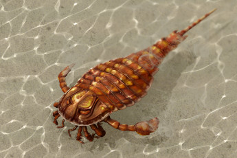 Картинка 3д+графика животные+ animals eurypterida вода