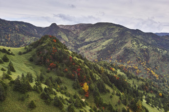 Картинка природа горы takaten лес склоны