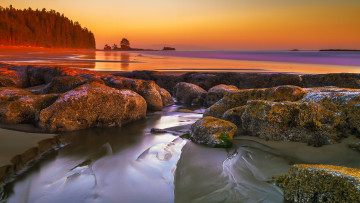 Картинка природа побережье утро озеро камни