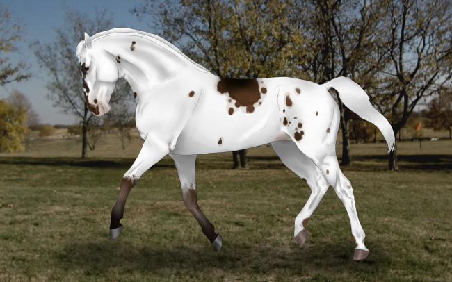 Обои картинки фото рисованное, животные,  лошади, фон, лошадь