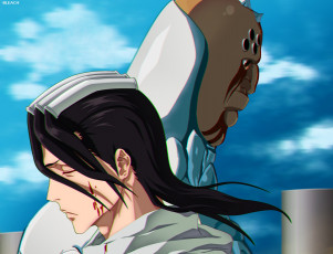 Картинка аниме bleach кучики бьякуя