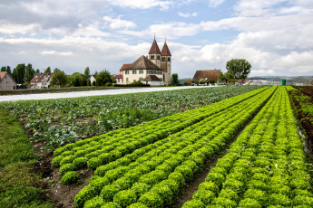 Картинка города -+пейзажи поле поселок