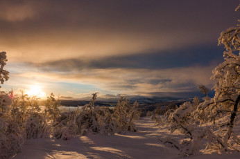 Картинка природа зима рассвет