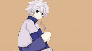 Картинка аниме hunter+x+hunter арт киллуа золдик фон