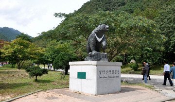 Картинка города -+памятники +скульптуры +арт-объекты парк медведь