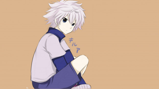 Обои картинки фото аниме, hunter x hunter, арт, киллуа, золдик, фон