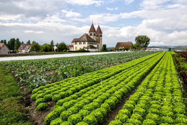 Обои картинки фото города, - пейзажи, поле, поселок